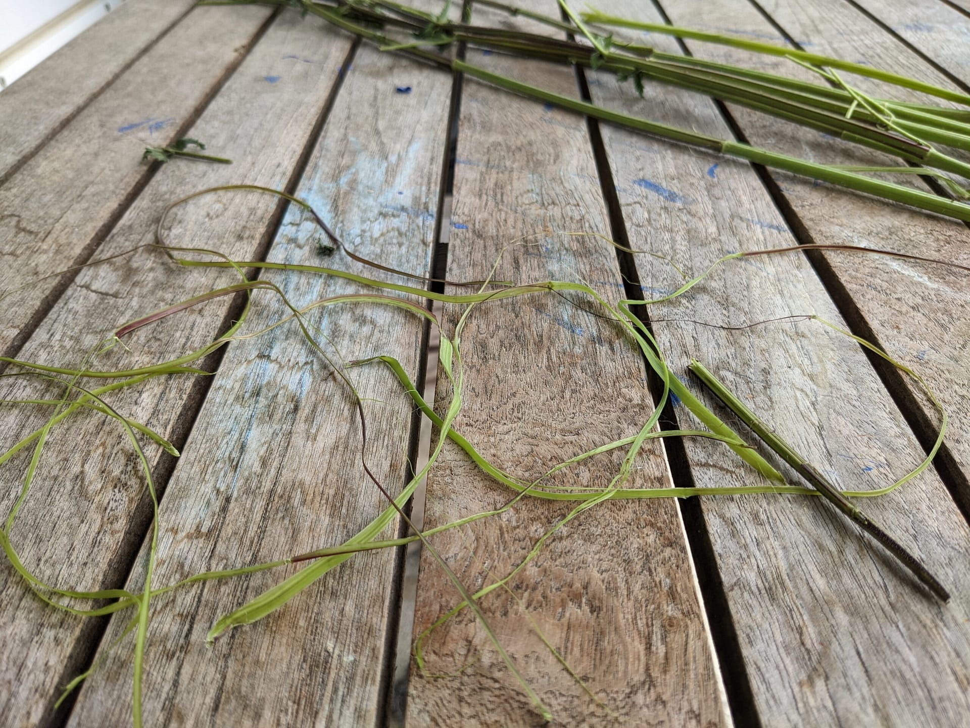 PXL_20220519_121447487